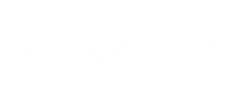 light logo